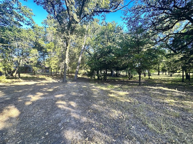 LOT65 Sombrilla Ln, Kerens, TX 75144