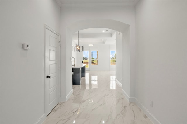 hall with a tray ceiling and ornamental molding