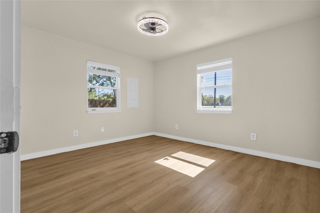 spare room featuring wood-type flooring and plenty of natural light