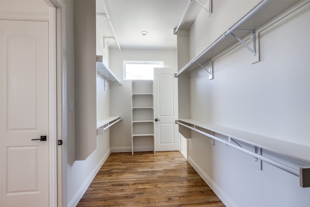 walk in closet with wood-type flooring