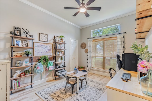 home office featuring ceiling fan, light hardwood / wood-style flooring, and crown molding