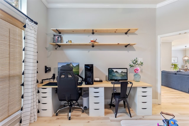 office area featuring light hardwood / wood-style floors and ornamental molding