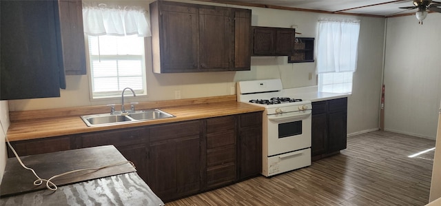 kitchen featuring dark brown cabinetry, ceiling fan, white gas stove, sink, and hardwood / wood-style floors