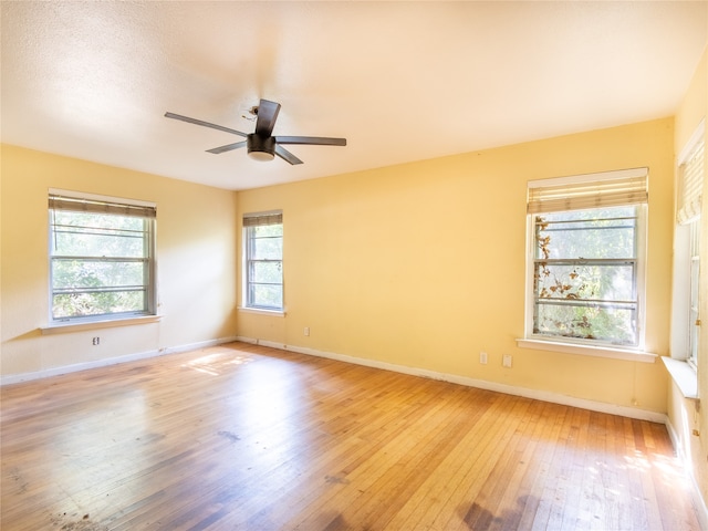 spare room featuring light hardwood / wood-style floors, a healthy amount of sunlight, and ceiling fan