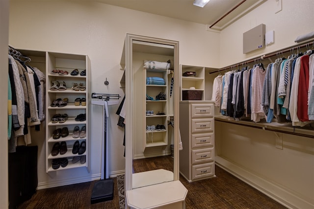 spacious closet featuring dark hardwood / wood-style flooring