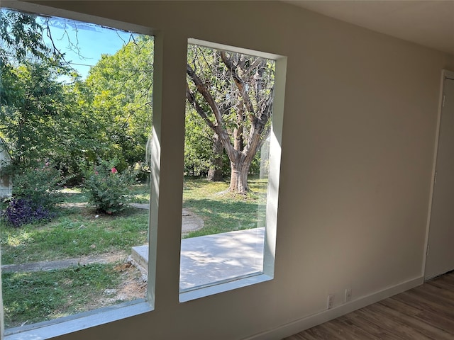 doorway featuring hardwood / wood-style flooring and a wealth of natural light