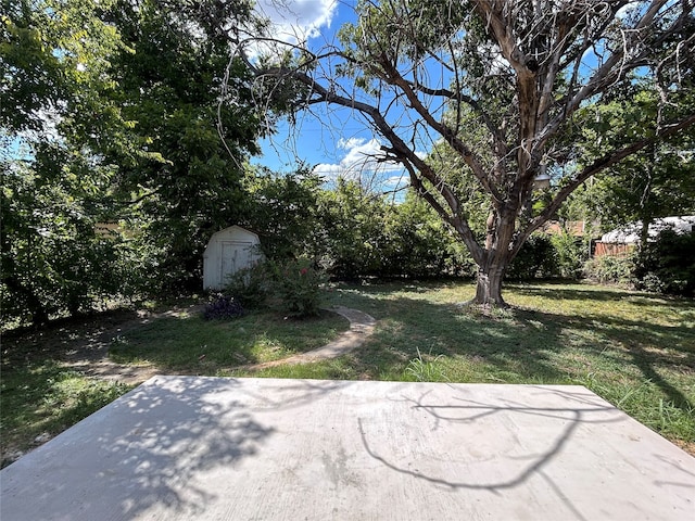 view of yard with a patio and a storage shed