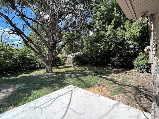 view of yard with a patio area