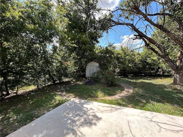 view of yard featuring a shed