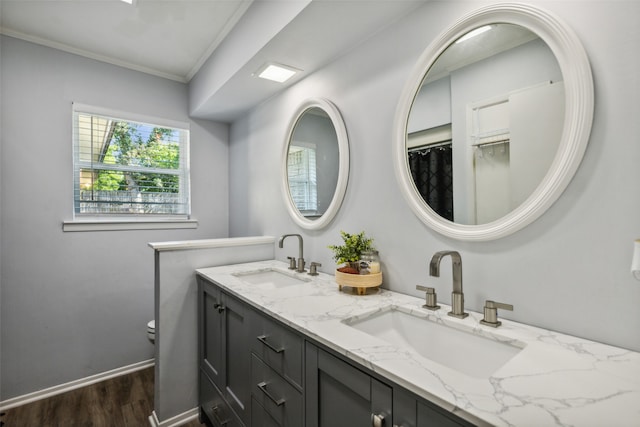 bathroom featuring hardwood / wood-style floors, vanity, and ornamental molding