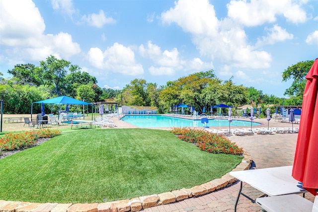 view of swimming pool featuring a yard and a patio