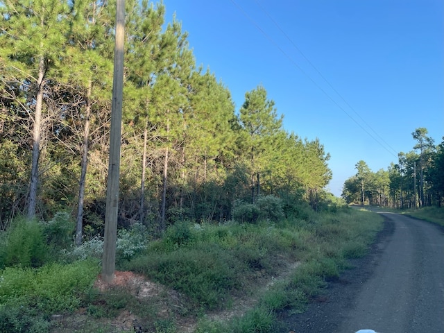 Listing photo 2 for TBD(Lot55) County Road 1060, Center TX 75935