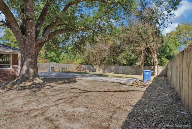 view of yard with a patio area