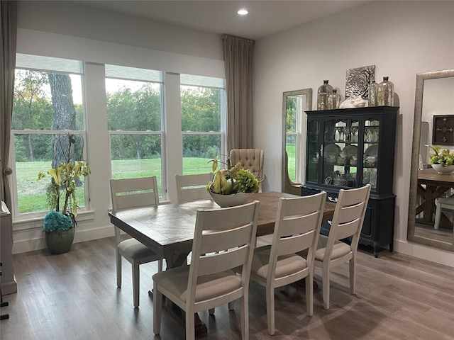 dining area featuring plenty of natural light and light hardwood / wood-style floors