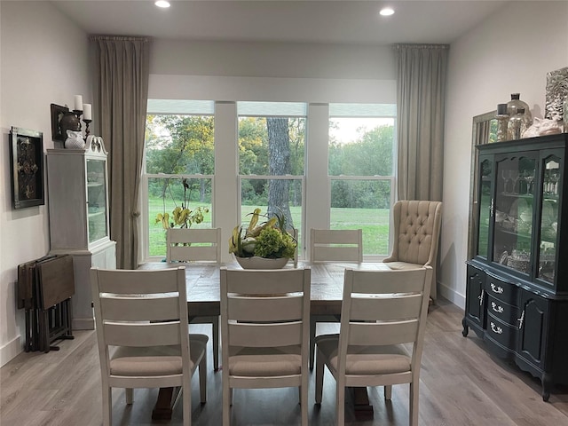 dining room featuring light hardwood / wood-style flooring and plenty of natural light