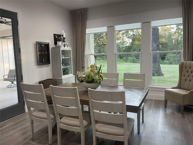 dining area with hardwood / wood-style floors and a healthy amount of sunlight