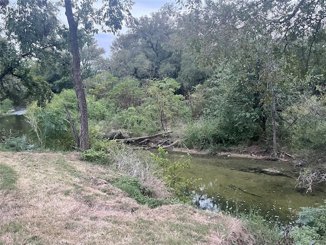 view of nature with a water view