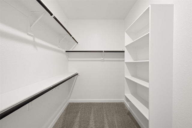 7513 Wild Mint Trl, Midlothian, TX 76084 - walk in closet with dark carpet