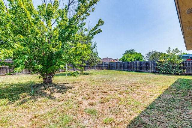 view of yard with a trampoline