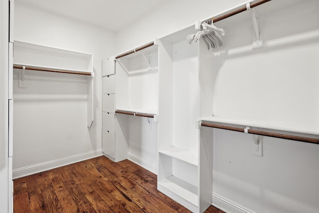 spacious closet featuring dark wood-type flooring