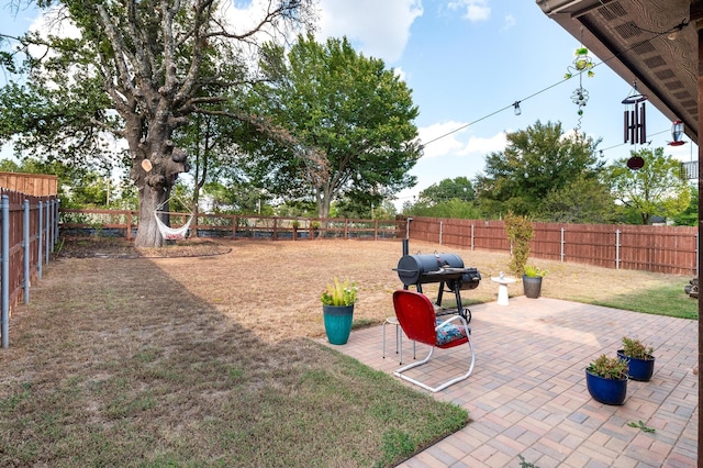 view of yard with a patio