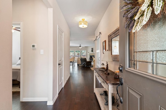 hall featuring a barn door and dark hardwood / wood-style flooring