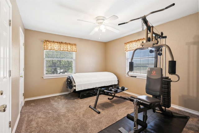 workout room featuring carpet floors and ceiling fan