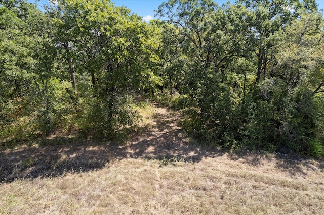 9375 County Road 2403, Tool, TX 75143