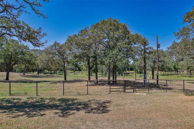 view of yard with a rural view