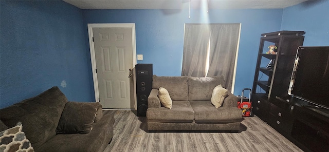 living room with wood-type flooring