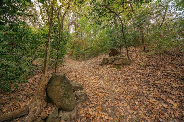 view of local wilderness