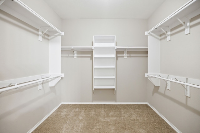 spacious closet with carpet floors