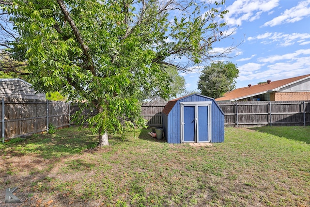 view of yard featuring a shed