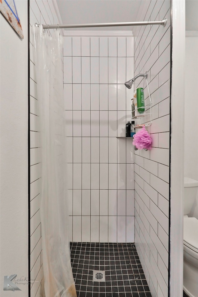 bathroom featuring toilet and a shower with curtain