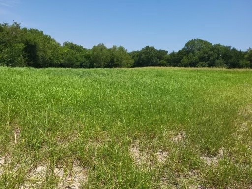 000 Fm 121, Van Alstyne TX, 75495 land for sale