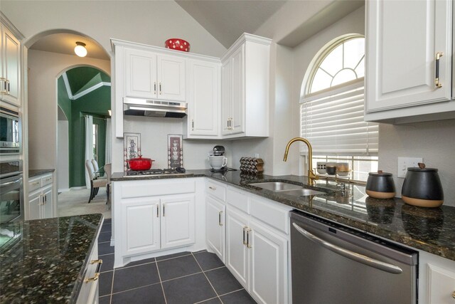 9736 Makiposa Ln, Fort Worth, TX 76177 - kitchen featuring stainless steel appliances, under cabinet range hood, a sink, lofted ceiling, and white cabinets