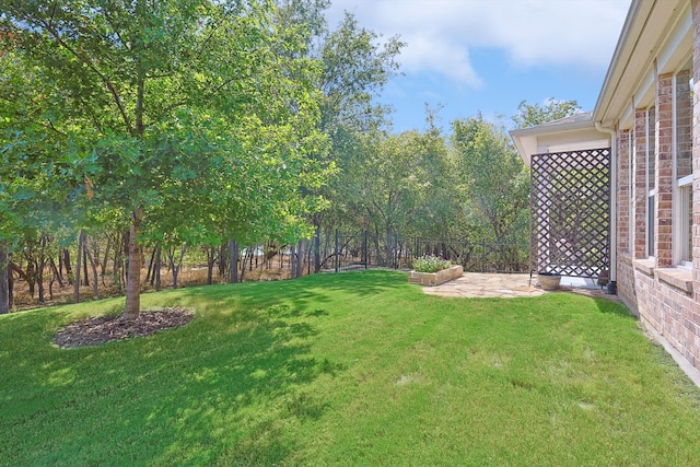 view of yard with a patio area