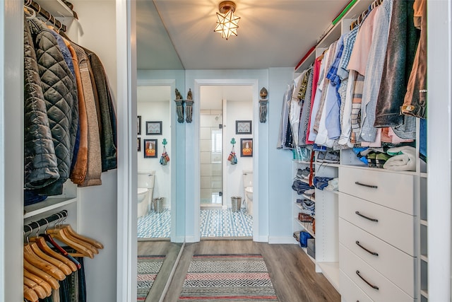 walk in closet with hardwood / wood-style flooring