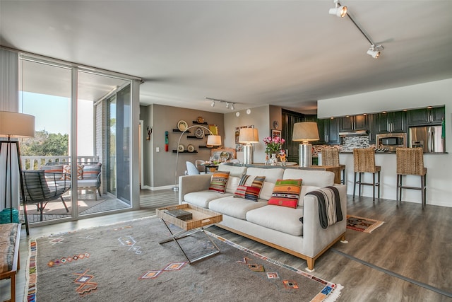 living room featuring wood-type flooring and track lighting