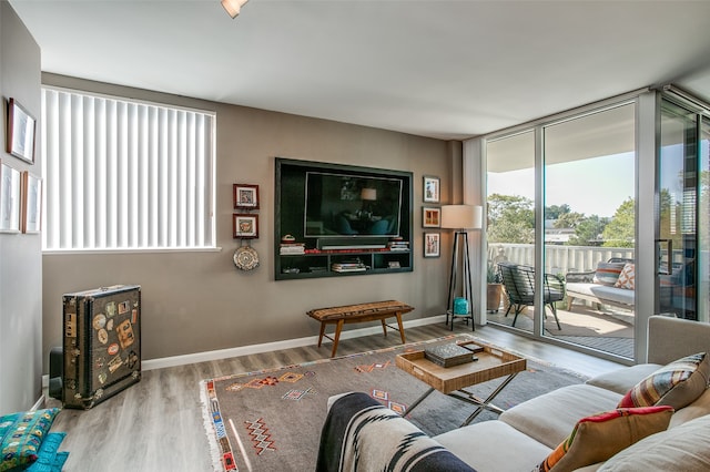 living room featuring wood-type flooring