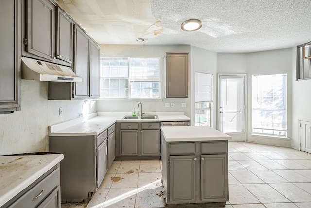 kitchen with sink, a center island, a wealth of natural light, and gray cabinetry