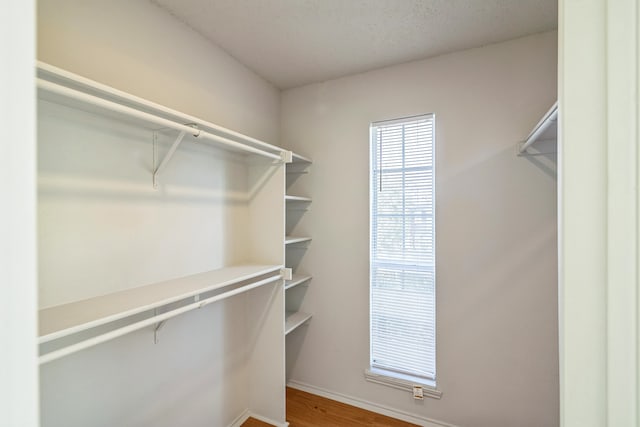 spacious closet with hardwood / wood-style floors