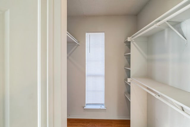 walk in closet featuring hardwood / wood-style floors