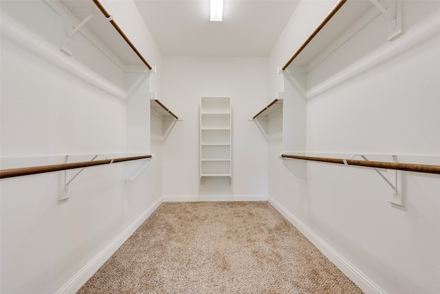 walk in closet featuring light colored carpet