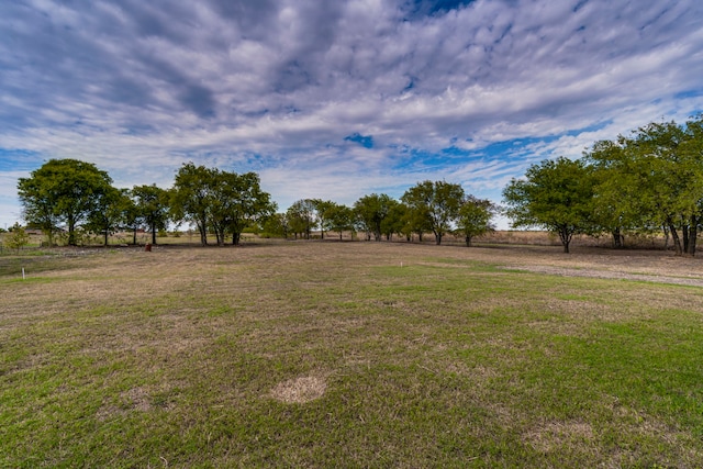 view of yard featuring a rural view