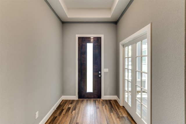 foyer entrance featuring a raised ceiling and dark hardwood / wood-style floors