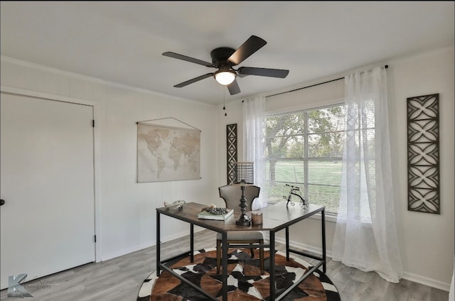 office space featuring light hardwood / wood-style floors, a healthy amount of sunlight, and crown molding