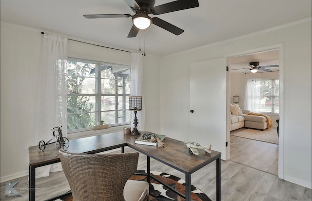 office featuring ceiling fan, light hardwood / wood-style flooring, and ornamental molding