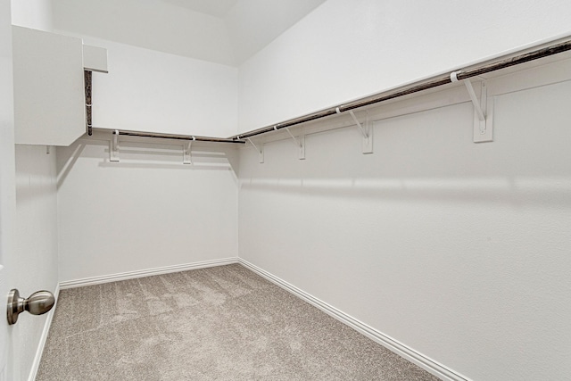 walk in closet with light carpet