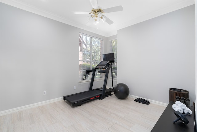 workout room with ceiling fan and crown molding